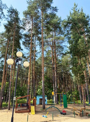 Детский сад в сосновом лесу
